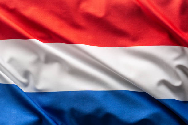 How to Access NoodleMagazine in the Netherlands