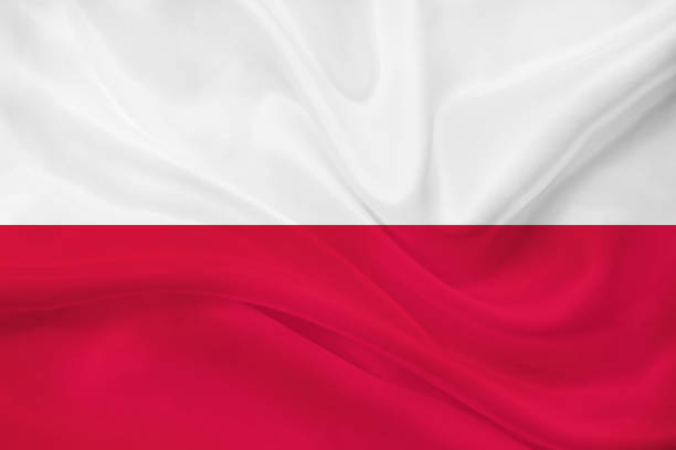 How to Access NoodleMagazine in Poland