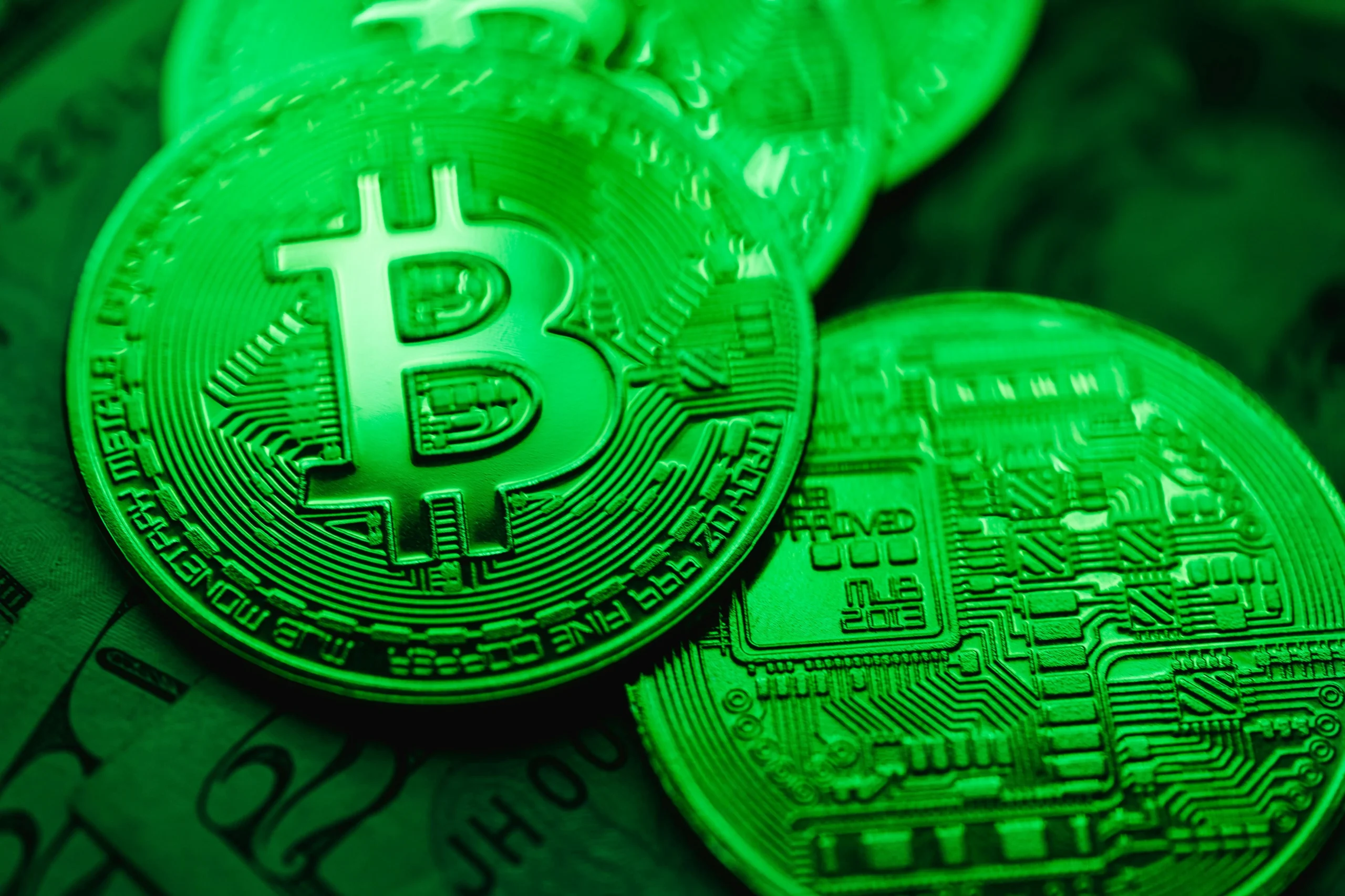 Crypto30x.com Gigachad